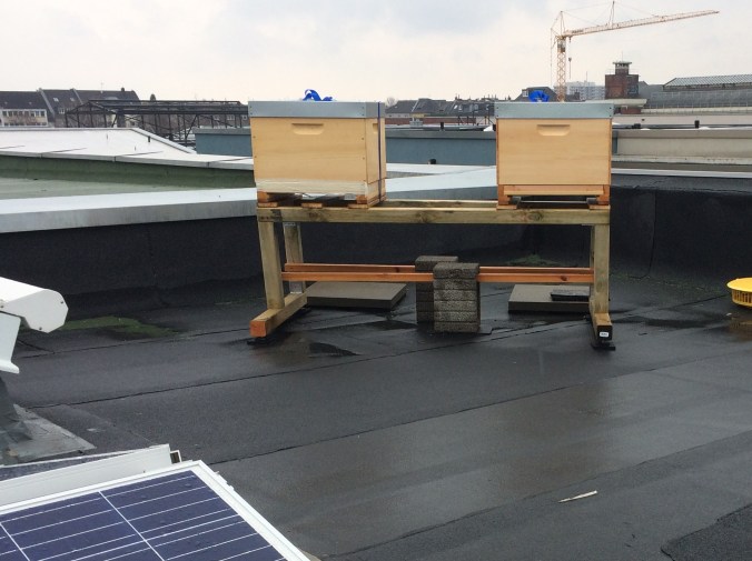 Der Bien auf unserem Dach