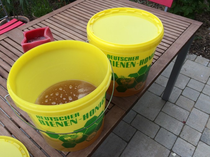 12 kg Honig von den Bienen auf dem Dach