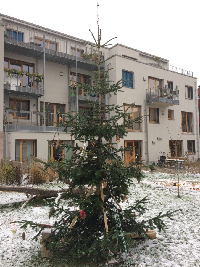 Unsere gemeinschaftliche Nordmanntanne