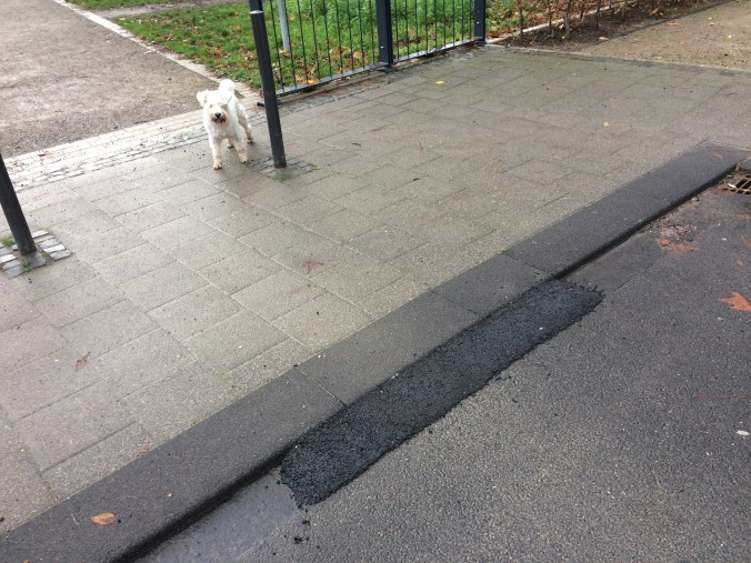 Die schöne neue Rampe