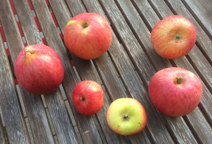 Guten Appetit ... bald