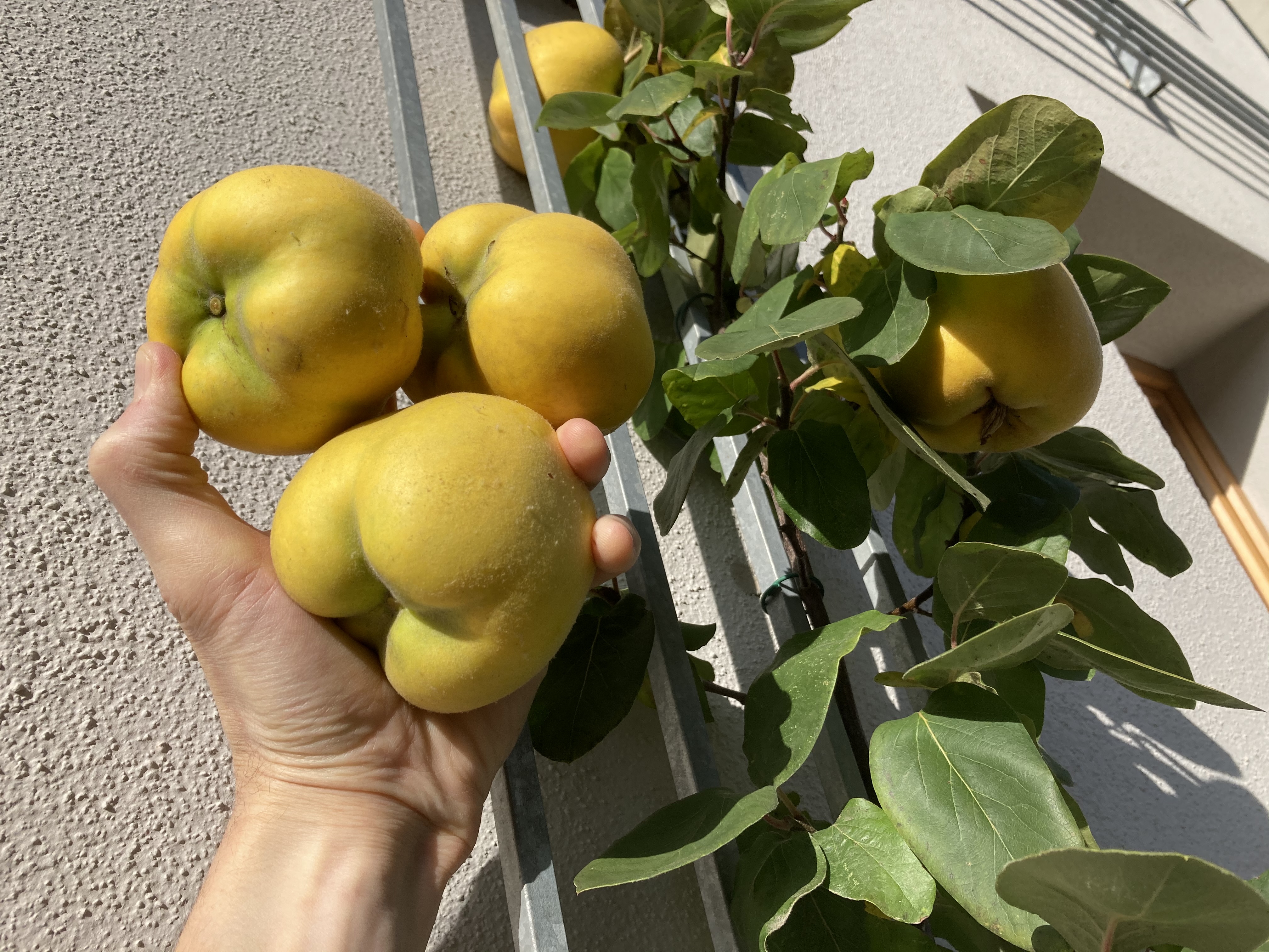 Ohne viele Worte, aber mit viel Geschmack