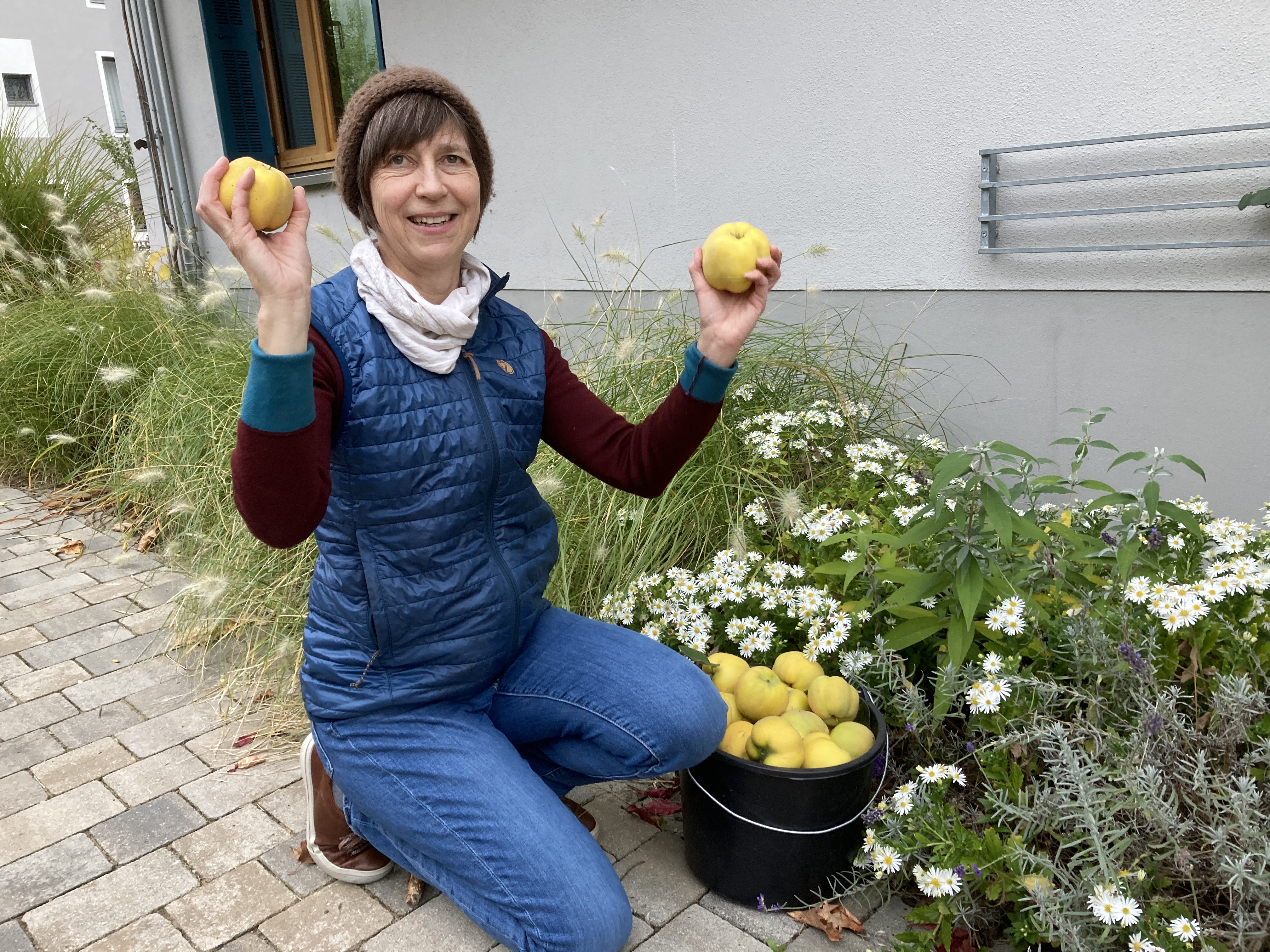 Quitten: Hart aber lecker