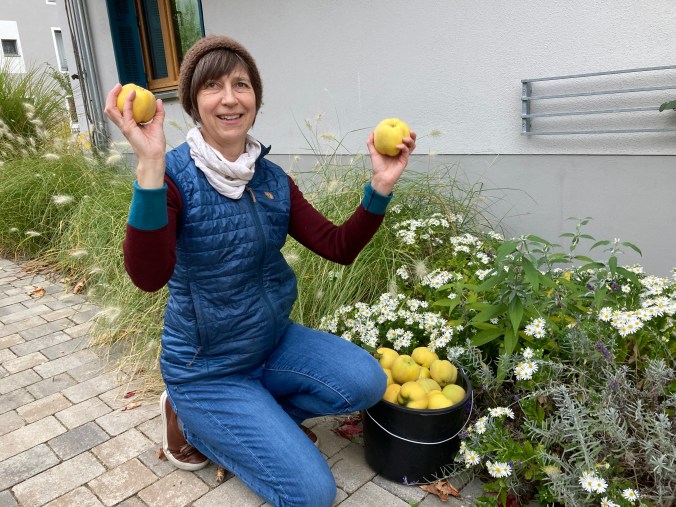 Quitten: Hart aber lecker
