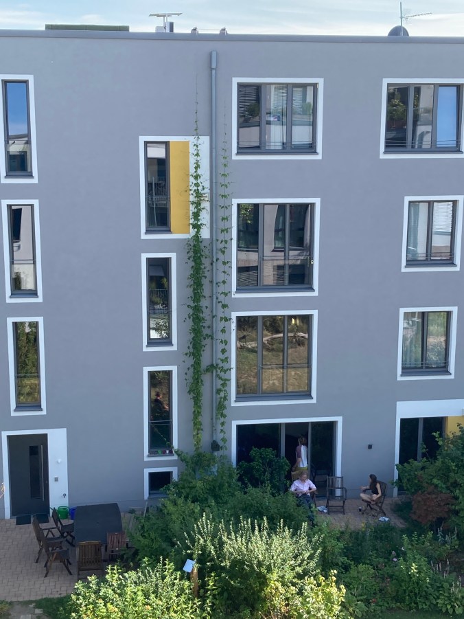 Hopfen an der Nachbarfassade