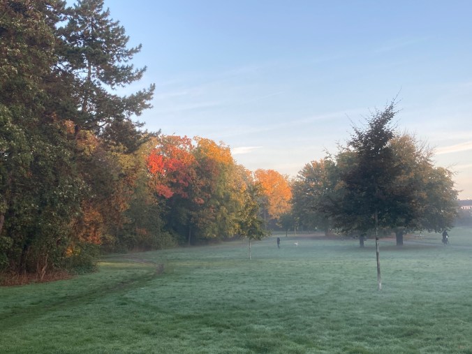 Der Herbstwald steht bunt ...