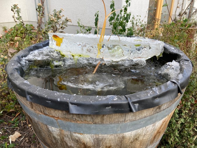 Mehrere Zentimeter dicke Eis-Schicht