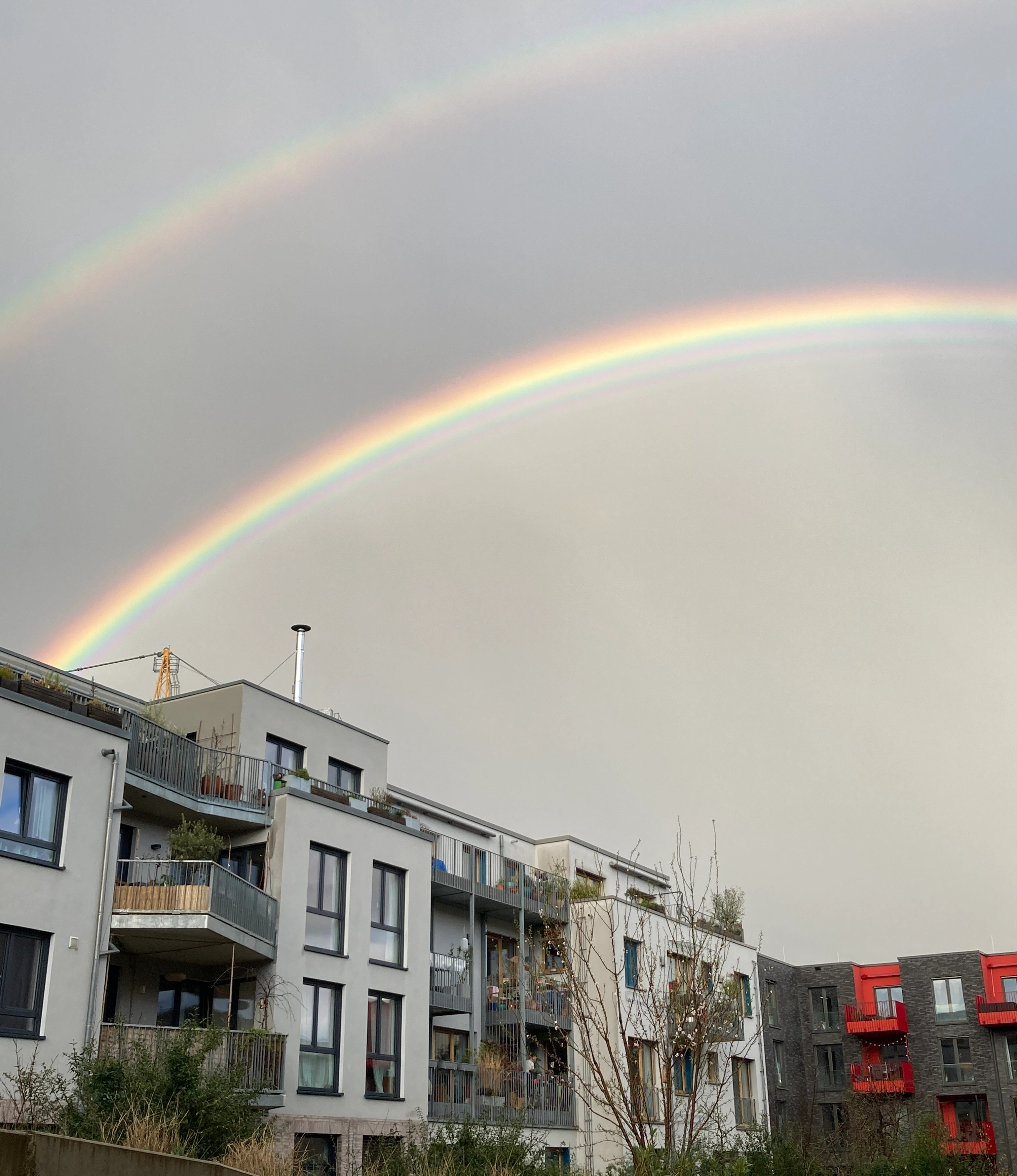 Under the rainbow