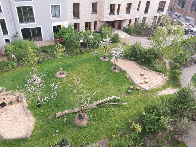 Blick vom 3. OG in den Garten mit den blühenden neuen Bäumen