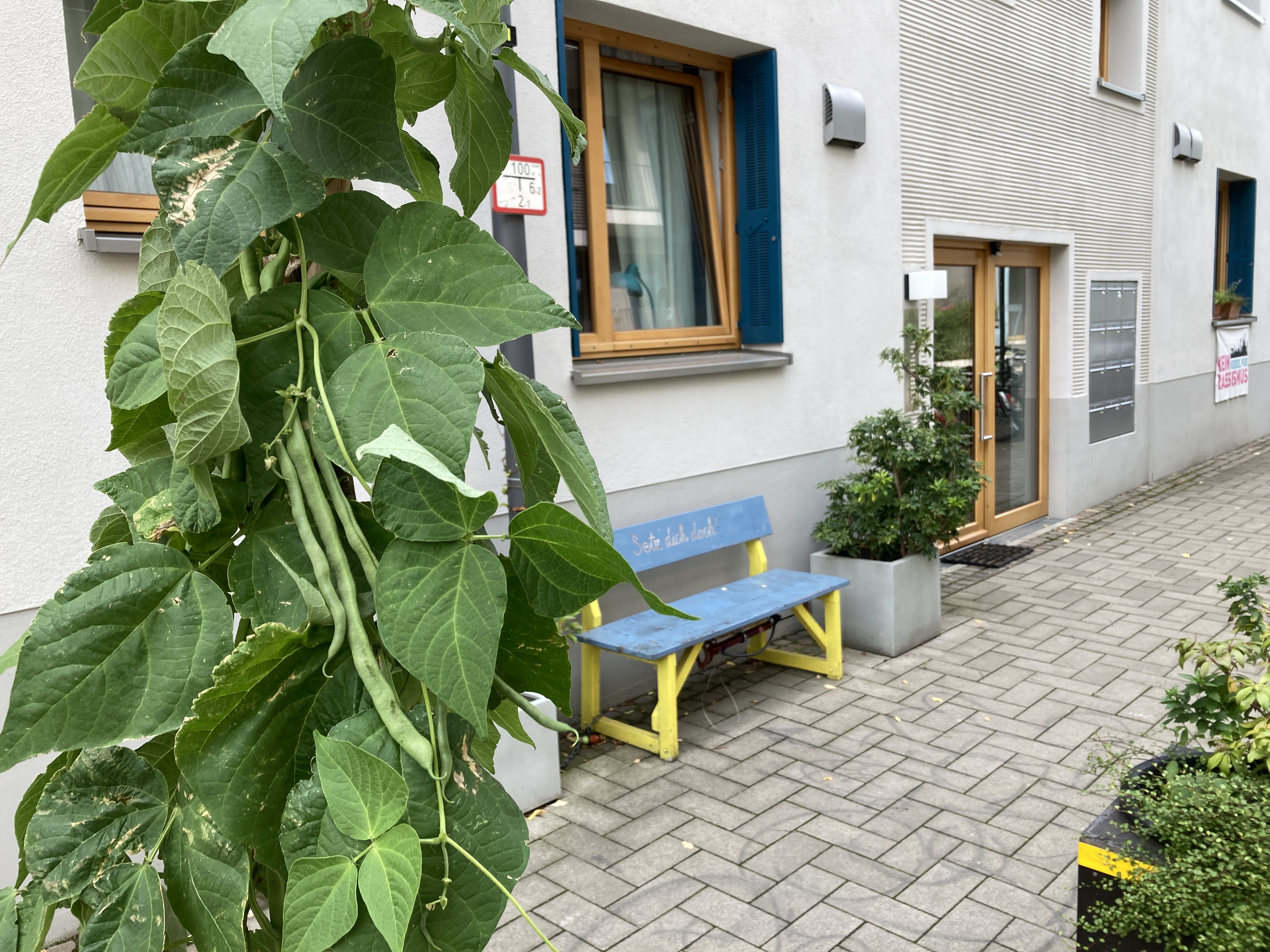 Guerillabohnen vor dem Haus der Wunschnachbarn