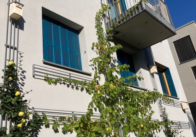 Einfamilienhäuschen am Mehrfamilienhaus