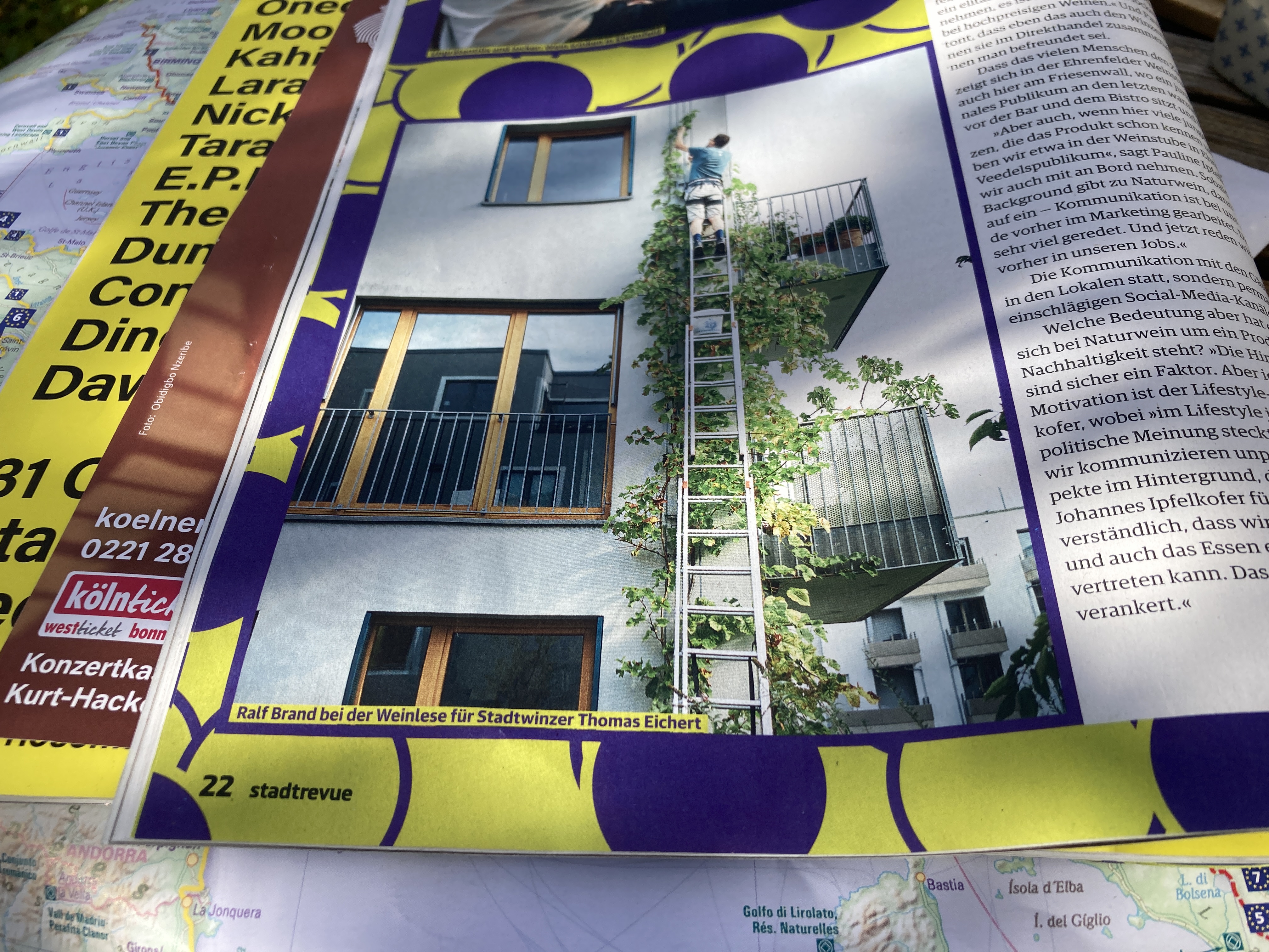 Foto einer aufgeschlagenen Zeitschrift. Darauf sieht man ein Gebäude, an der eine Leiter lehnt, auf der jemand weit oben sich um eine Weinpflanze kümmert.