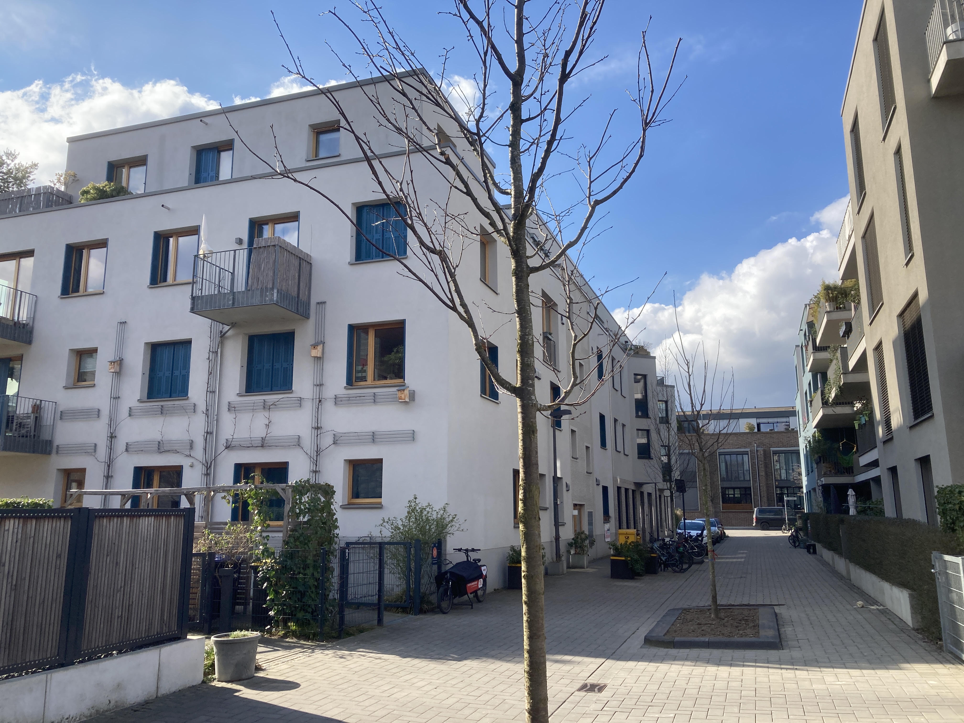 Junger, noch kahler Baum im Vordergrund. Im Hintergrund das Haus der Wunschnachbarn