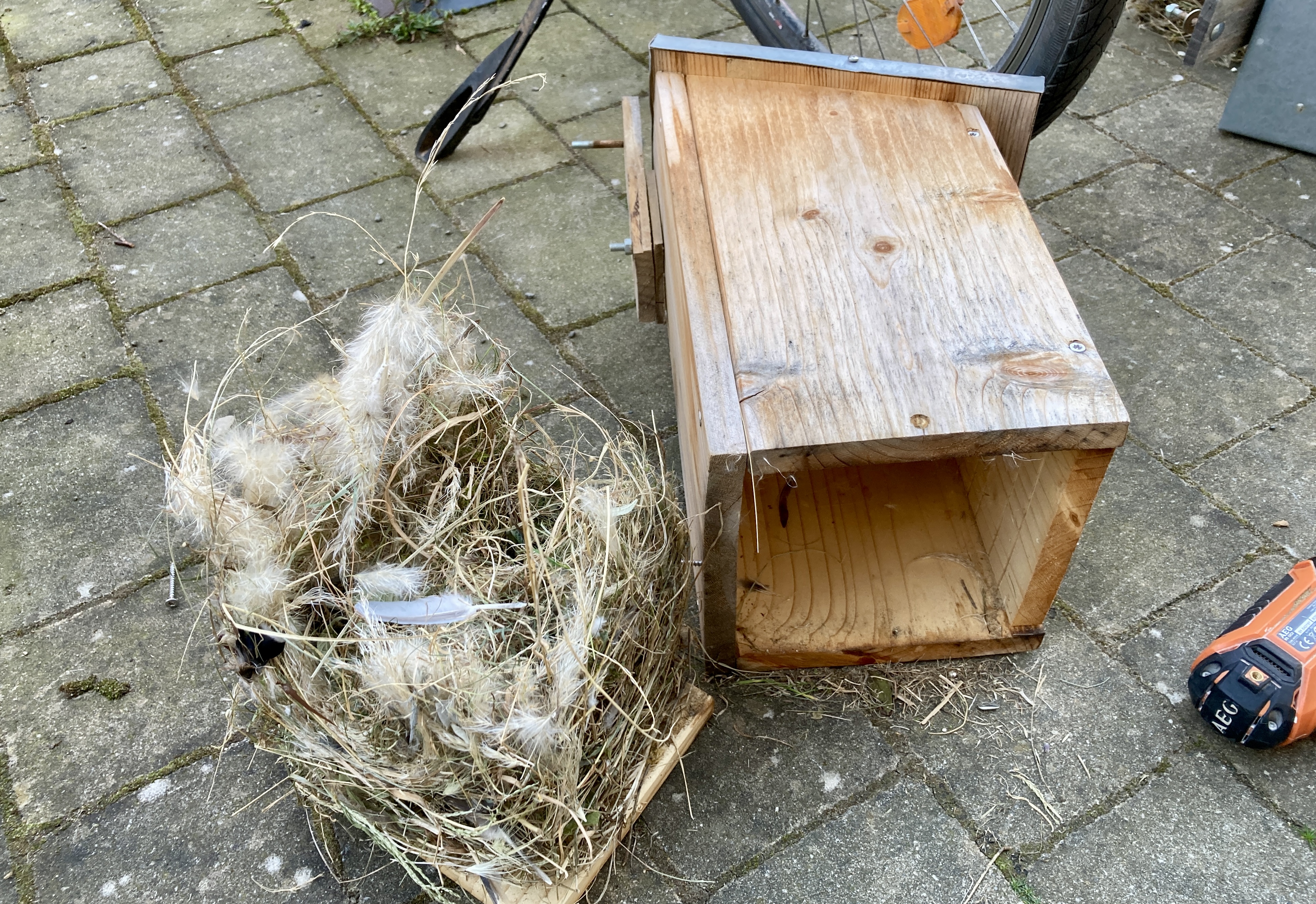 Geöffneter Nistkasten inklusive großzügiger Polsterung 